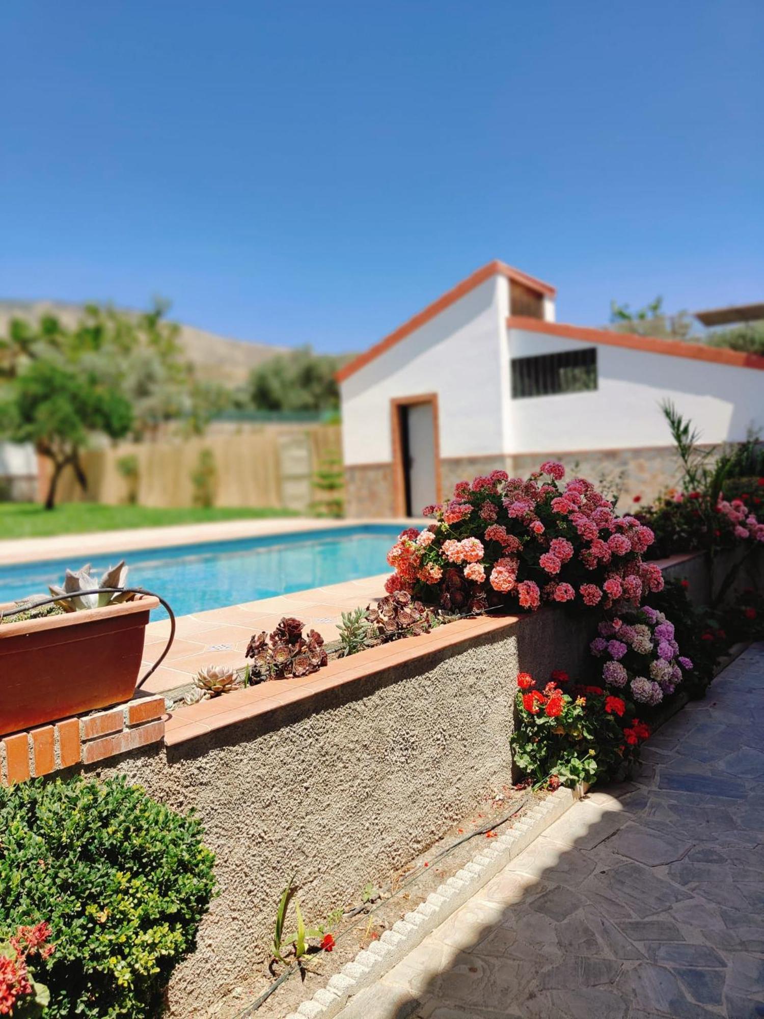 Casa Rural Las Cuatro Flores Orgiva Zewnętrze zdjęcie